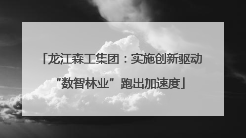 龙江森工集团：实施创新驱动 “数智林业”跑出加速度