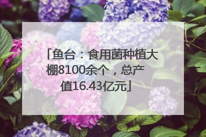 鱼台：食用菌种植大棚8100余个，总产值16.43亿元
