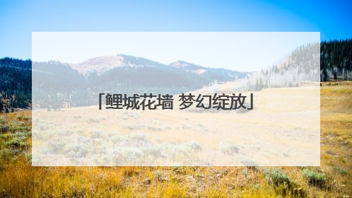鲤城花墙 梦幻绽放