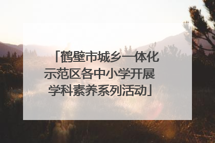 鹤壁市城乡一体化示范区各中小学开展学科素养系列活动
