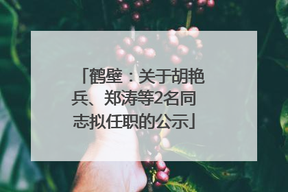 鹤壁：关于胡艳兵、郑涛等2名同志拟任职的公示