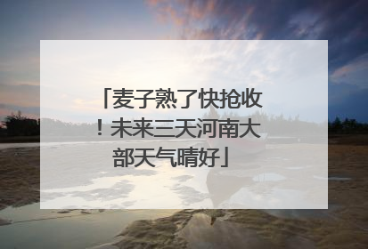 麦子熟了快抢收！未来三天河南大部天气晴好