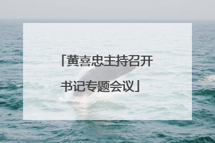 黄喜忠主持召开书记专题会议