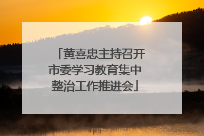 黄喜忠主持召开市委学习教育集中整治工作推进会