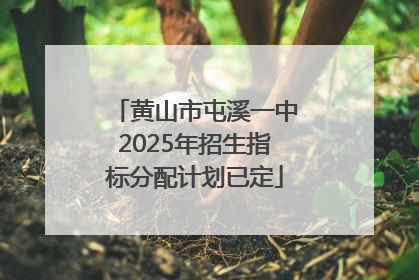 黄山市屯溪一中2025年招生指标分配计划已定