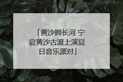 黄沙拥长河 宁夏黄沙古渡上演夏日音乐派对