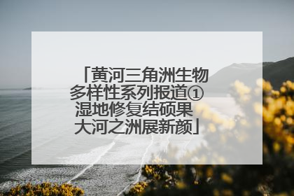 黄河三角洲生物多样性系列报道①湿地修复结硕果 大河之洲展新颜