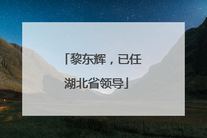 黎东辉，已任湖北省领导
