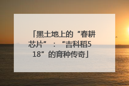 黑土地上的“春耕芯片”：“吉科稻518”的育种传奇