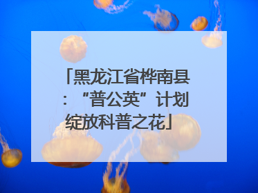 黑龙江省桦南县：“普公英”计划绽放科普之花