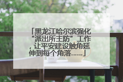 黑龙江哈尔滨强化“派出所主防”工作，让平安建设触角延伸到每个角落……
