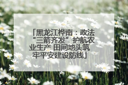 黑龙江桦南：政法“三箭齐发”护航农业生产 田间地头筑牢平安建设防线