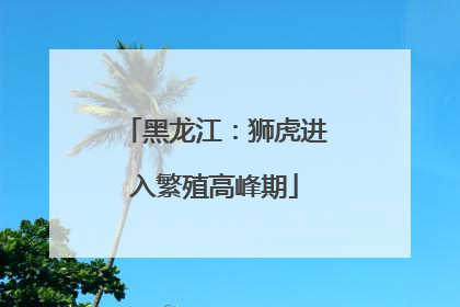 黑龙江：狮虎进入繁殖高峰期