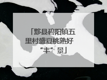 黟县碧阳镇五里村盛夏桃熟好“丰”景