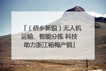 （侨乡新貌）无人机运输、智能分拣 科技助力浙江杨梅产销