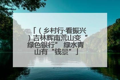 （乡村行·看振兴）吉林辉南荒山变“绿色银行” 绿水青山有“钱景”