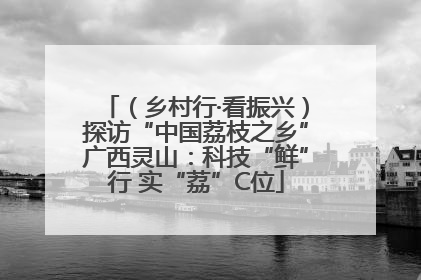 （乡村行·看振兴）探访“中国荔枝之乡”广西灵山：科技“鲜”行 实“荔”C位