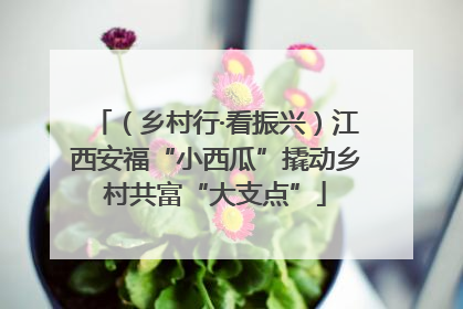 （乡村行·看振兴）江西安福“小西瓜”撬动乡村共富“大支点”