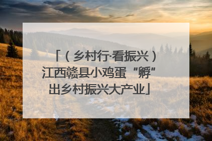 （乡村行·看振兴）江西赣县小鸡蛋“孵”出乡村振兴大产业