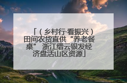 （乡村行·看振兴）田间农货直供“养老餐桌” 浙江缙云银发经济盘活山区资源