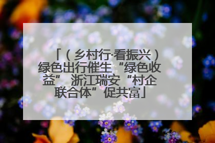（乡村行·看振兴）绿色出行催生“绿色收益” 浙江瑞安“村企联合体”促共富