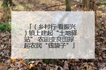 （乡村行·看振兴）镇上建起“土地驿站” 农田变良田撑起农民“钱袋子”