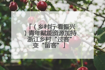（乡村行·看振兴）青年赋能资源加持 浙江乡村“过客”变“留客”