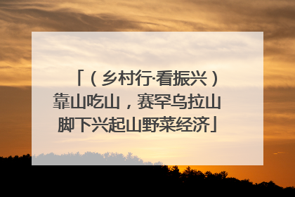 （乡村行·看振兴）靠山吃山，赛罕乌拉山脚下兴起山野菜经济