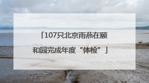 107只北京雨燕在颐和园完成年度“体检”