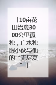 10亩花田治愈3000公里孤独，广水独眼小伙与他的“无尽夏”
