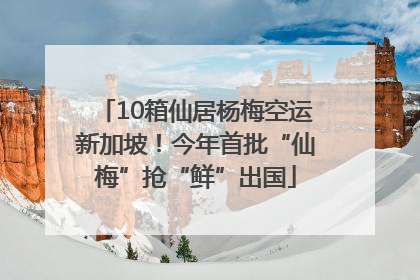 10箱仙居杨梅空运新加坡！今年首批“仙梅”抢“鲜”出国