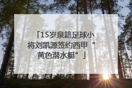 15岁泉籍足球小将刘凯源签约西甲“黄色潜水艇”