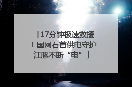 17分钟极速救援！国网石首供电守护江豚不断“电”