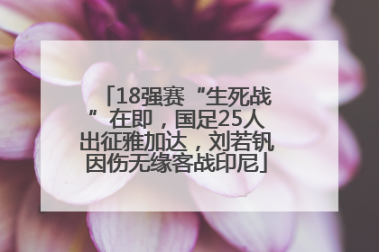 18强赛“生死战”在即，国足25人出征雅加达，刘若钒因伤无缘客战印尼