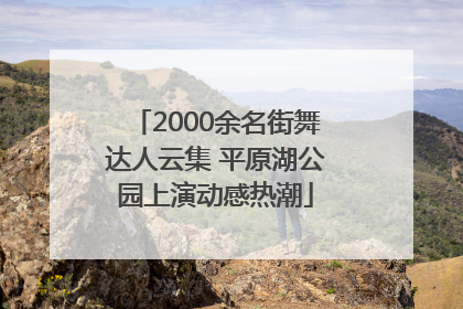 2000余名街舞达人云集 平原湖公园上演动感热潮