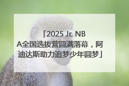 2025 Jr. NBA全国选拔营圆满落幕，阿迪达斯助力追梦少年圆梦