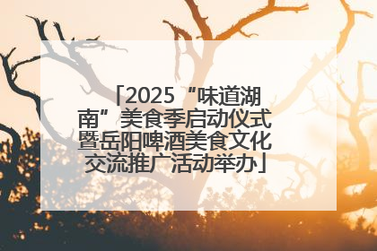 2025“味道湖南”美食季启动仪式暨岳阳啤酒美食文化交流推广活动举办