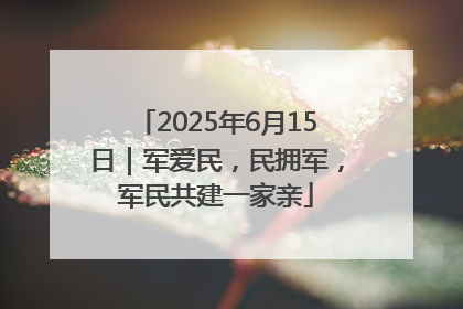 2025年6月15日｜军爱民，民拥军，军民共建一家亲