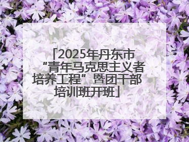 2025年丹东市“青年马克思主义者培养工程”暨团干部培训班开班