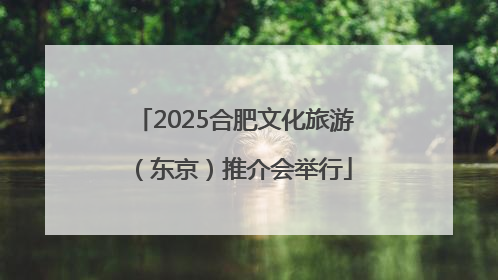 2025合肥文化旅游（东京）推介会举行