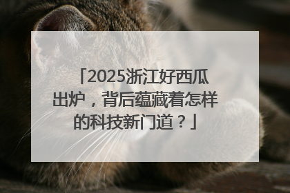 2025浙江好西瓜出炉，背后蕴藏着怎样的科技新门道？