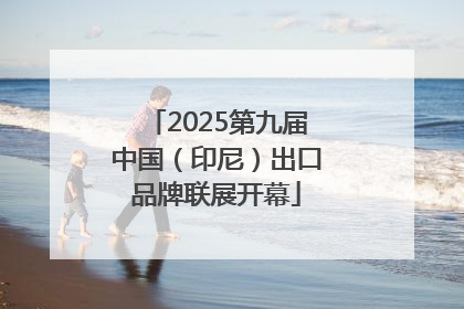 2025第九届中国（印尼）出口品牌联展开幕