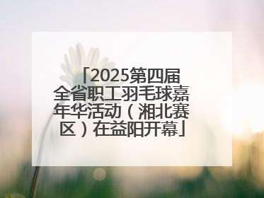 2025第四届全省职工羽毛球嘉年华活动（湘北赛区）在益阳开幕