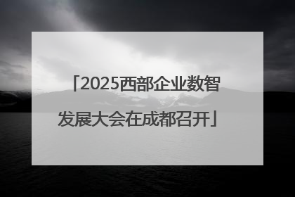 2025西部企业数智发展大会在成都召开