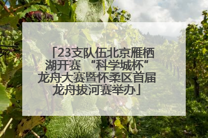 23支队伍北京雁栖湖开赛 “科学城杯”龙舟大赛暨怀柔区首届龙舟拔河赛举办