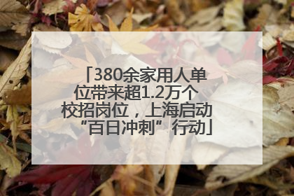 380余家用人单位带来超1.2万个校招岗位，上海启动“百日冲刺”行动