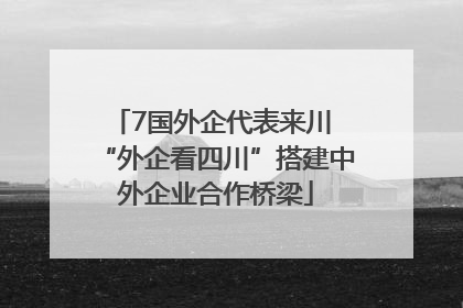 7国外企代表来川 “外企看四川”搭建中外企业合作桥梁