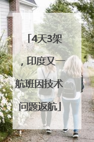 4天3架，印度又一航班因技术问题返航