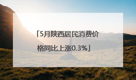 5月陕西居民消费价格同比上涨0.3%