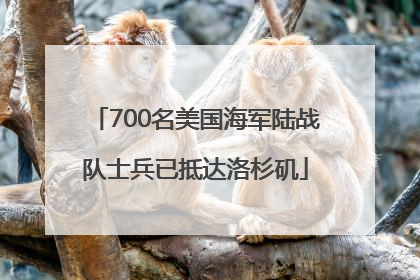 700名美国海军陆战队士兵已抵达洛杉矶
